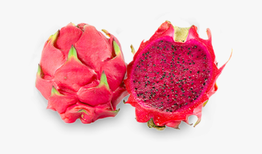 Tko A Mix Of Dragon Fruit With Creamy Vanilla That - Red Dragon Fruit Png, Transparent Clipart