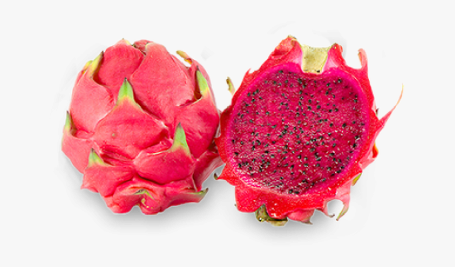 tko a mix of dragon fruit with creamy vanilla that red dragon fruit png free transparent clipart clipartkey red dragon fruit png