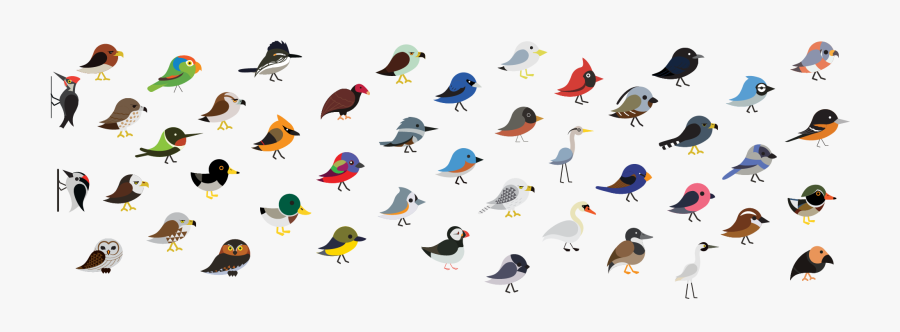 Check Out Our Page Types Of Birds To See Most Of The - Old World Flycatcher, Transparent Clipart