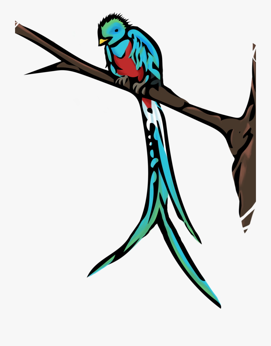 Quetzal Clipart Drawing - Resplendent Quetzal, Transparent Clipart