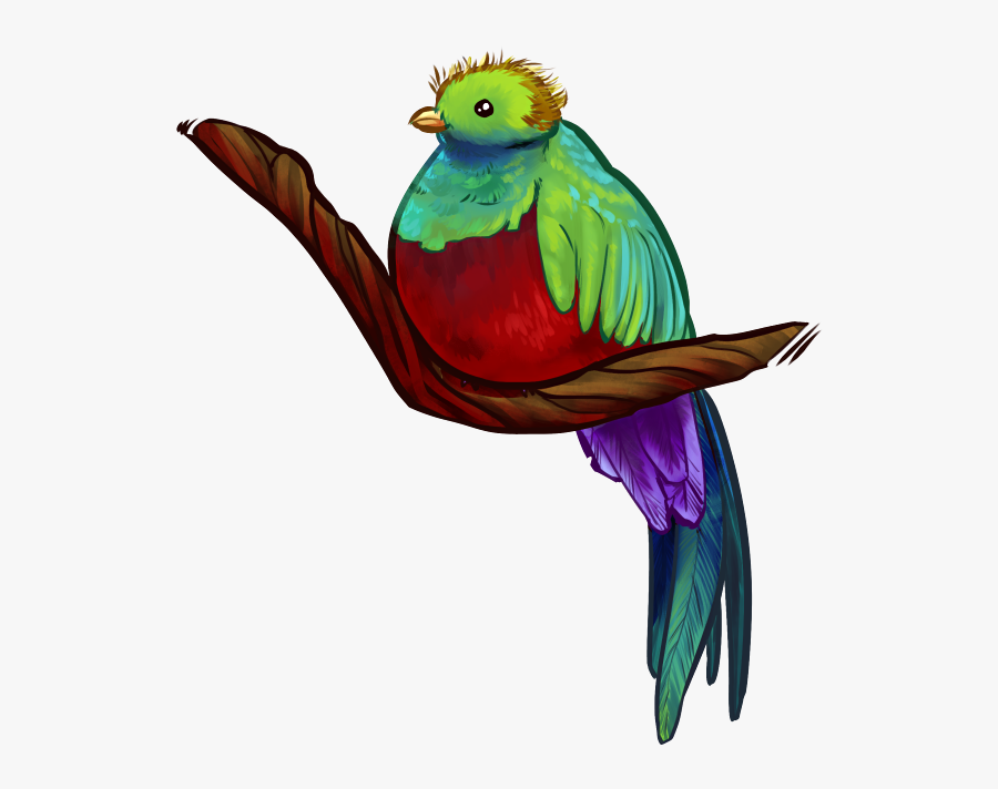 Parrot, Transparent Clipart