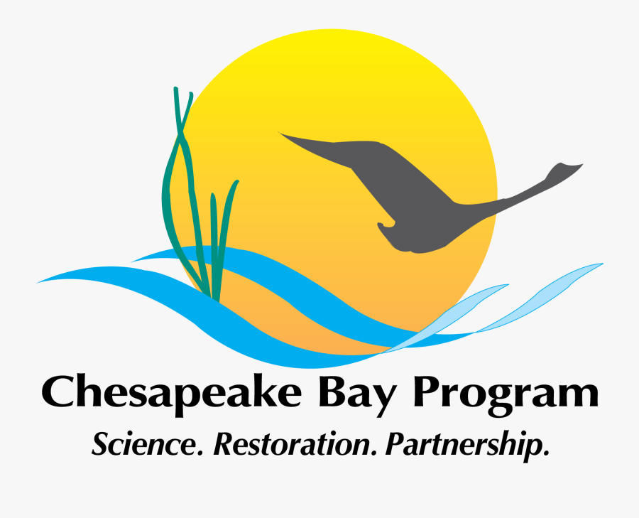 Chesapeake Bay Program, Transparent Clipart