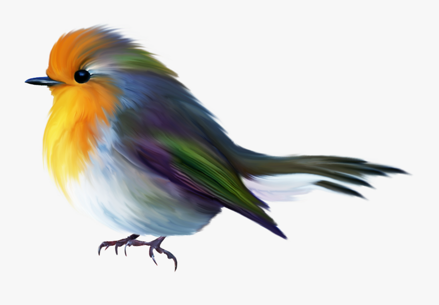 Drawing Paint Robin Bird - Bird Paintings Png, Transparent Clipart