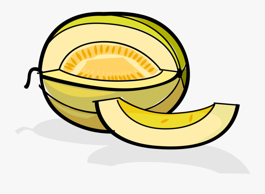 Vector Illustration Of Muskmelon Cultivar Honeydew - Melon Clipart Png, Transparent Clipart