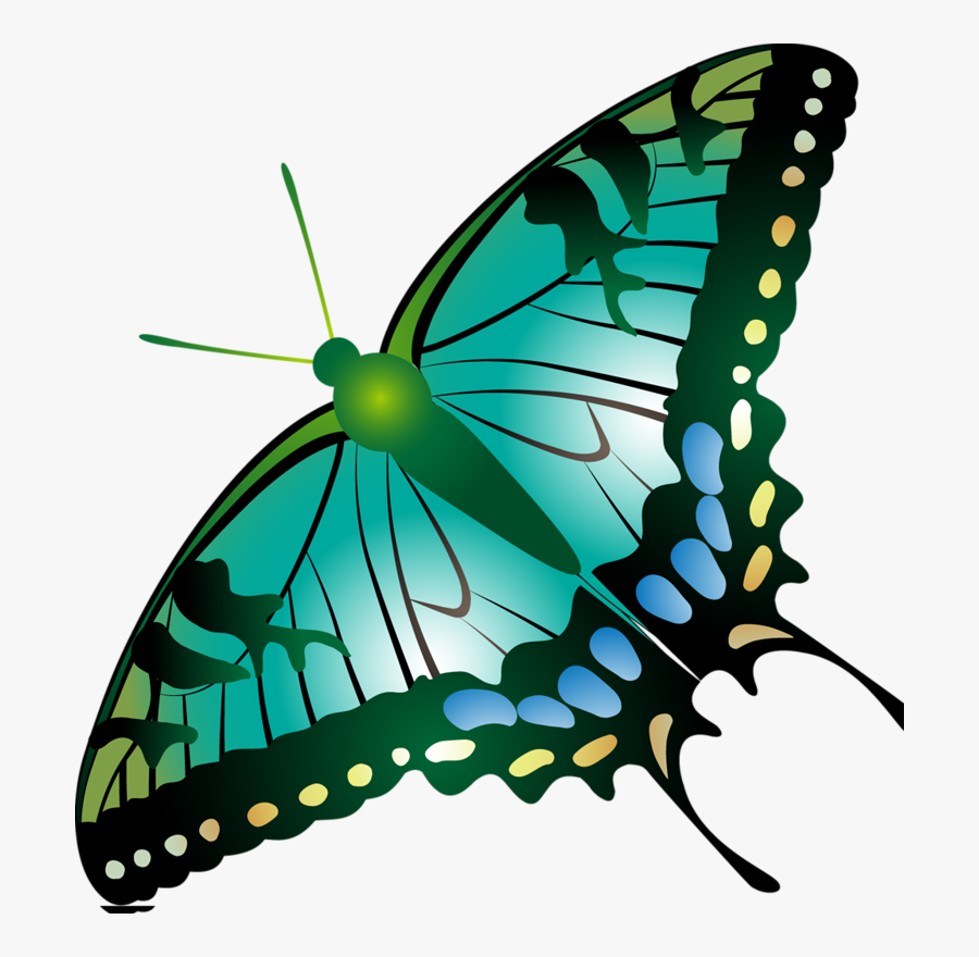 Image Du Blog Zezete2 - Papilio Machaon, Transparent Clipart