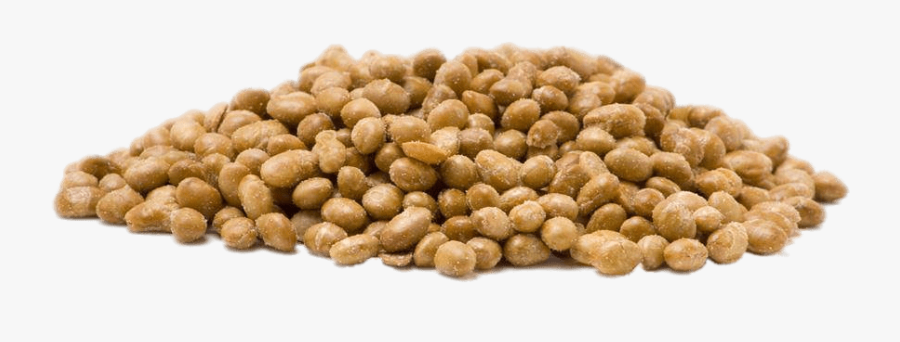 Roasted Salted Soybeans - Roasted Soya Beans Png, Transparent Clipart