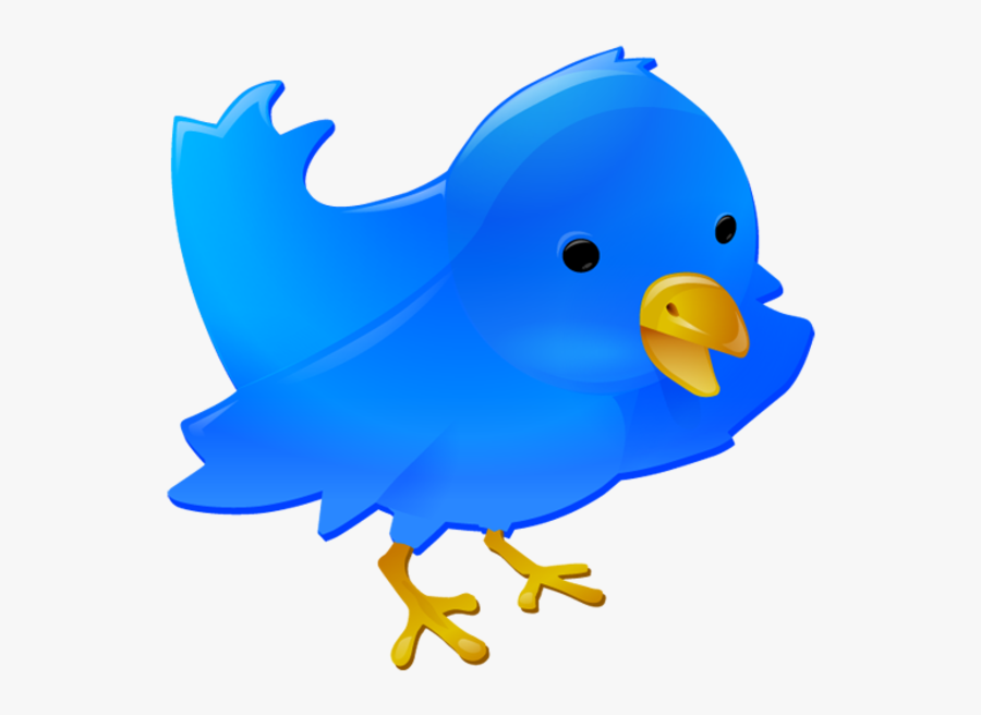 Blue Twitter Logo Bird, Transparent Clipart