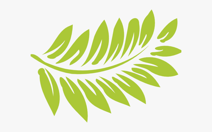 Clipart Transparent Tropical Leaves, Transparent Clipart