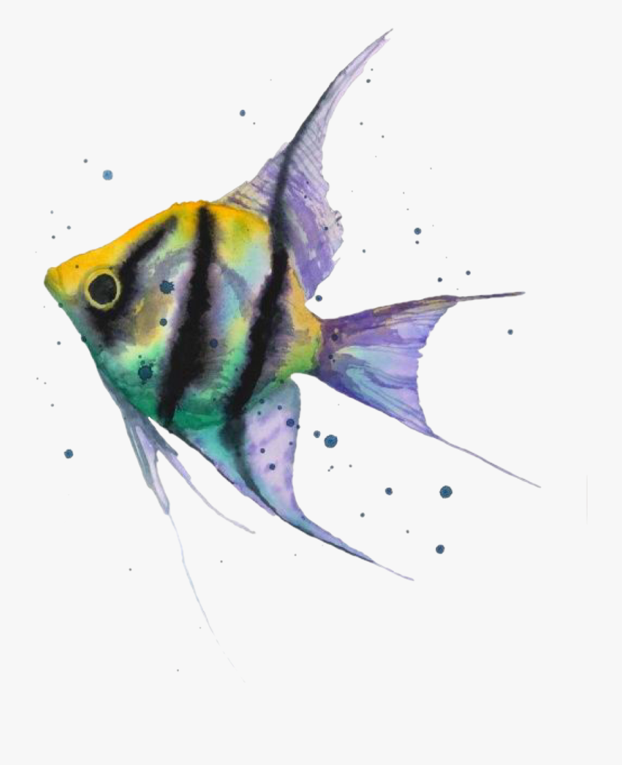 #fish #watercolorfish #watercolor #painting #fisch - Angel Fish Watercolor Paintings, Transparent Clipart
