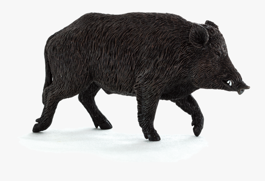 Wild Boar Png File - Wild Boar Transparent Background, Transparent Clipart