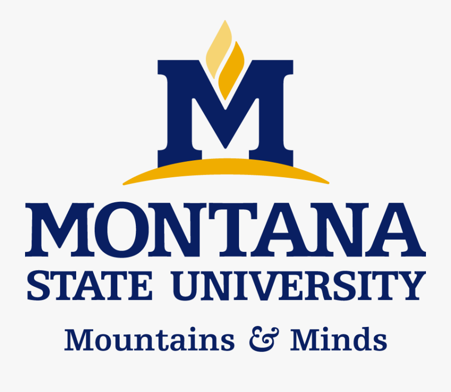 Clip Art Freeuse Stock Montana State University Logo - Montana State University Bozeman, Transparent Clipart