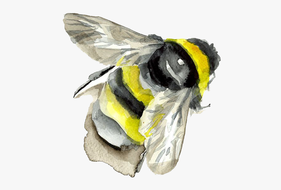 Watercolor Painting Insect Bumblebee Bee Png Free Photo - Bee Painting Png, Transparent Clipart