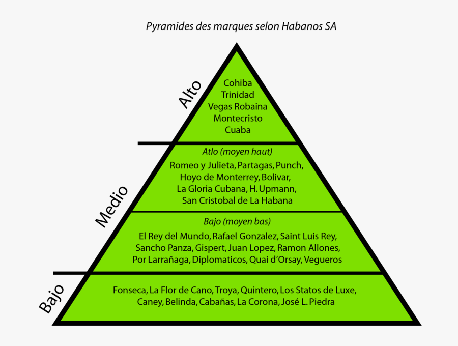 Pyramide - Diagram Structure Of Ecosystem, Transparent Clipart