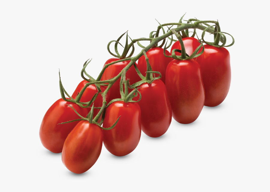 Transparent Tomato Png - Tomate Mini San Marzano, Transparent Clipart
