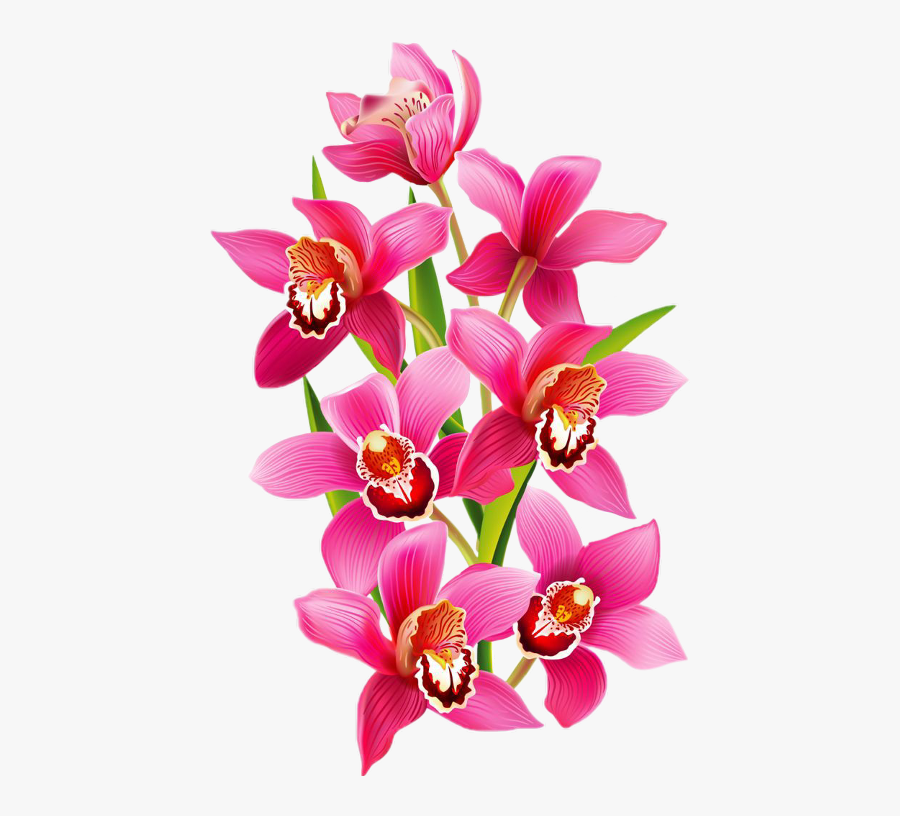 Sticker Orchids Freetoedit Scorchid Orchid - Orchid Flower Design, Transparent Clipart