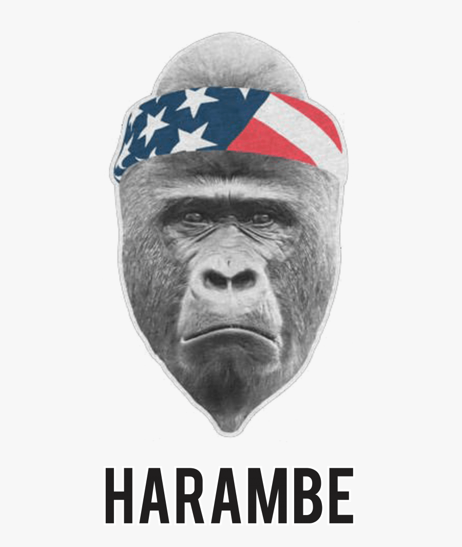 Harambe Headband - Harembe Face Png, Transparent Clipart