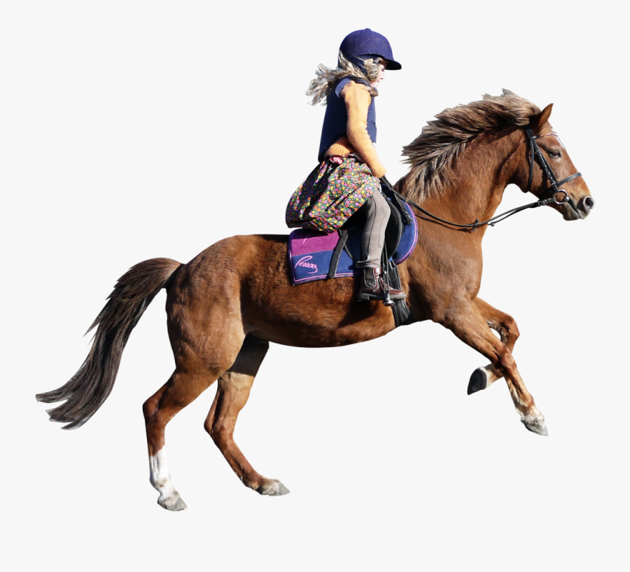 Transparent Horse Png, Transparent Clipart