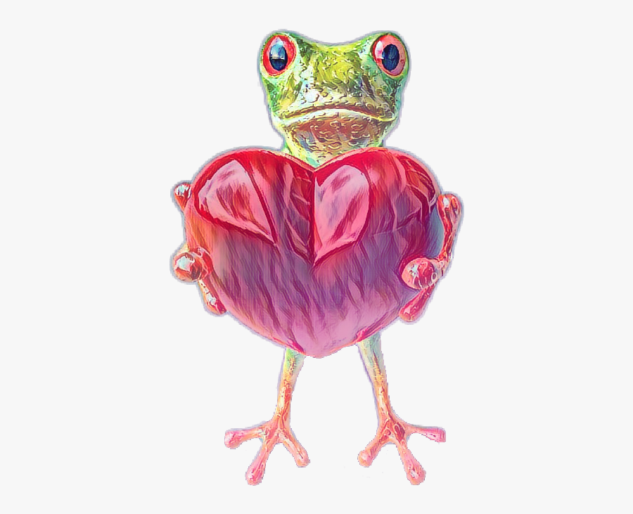 Amphibian Drawing Tree Frog - Frog, Transparent Clipart