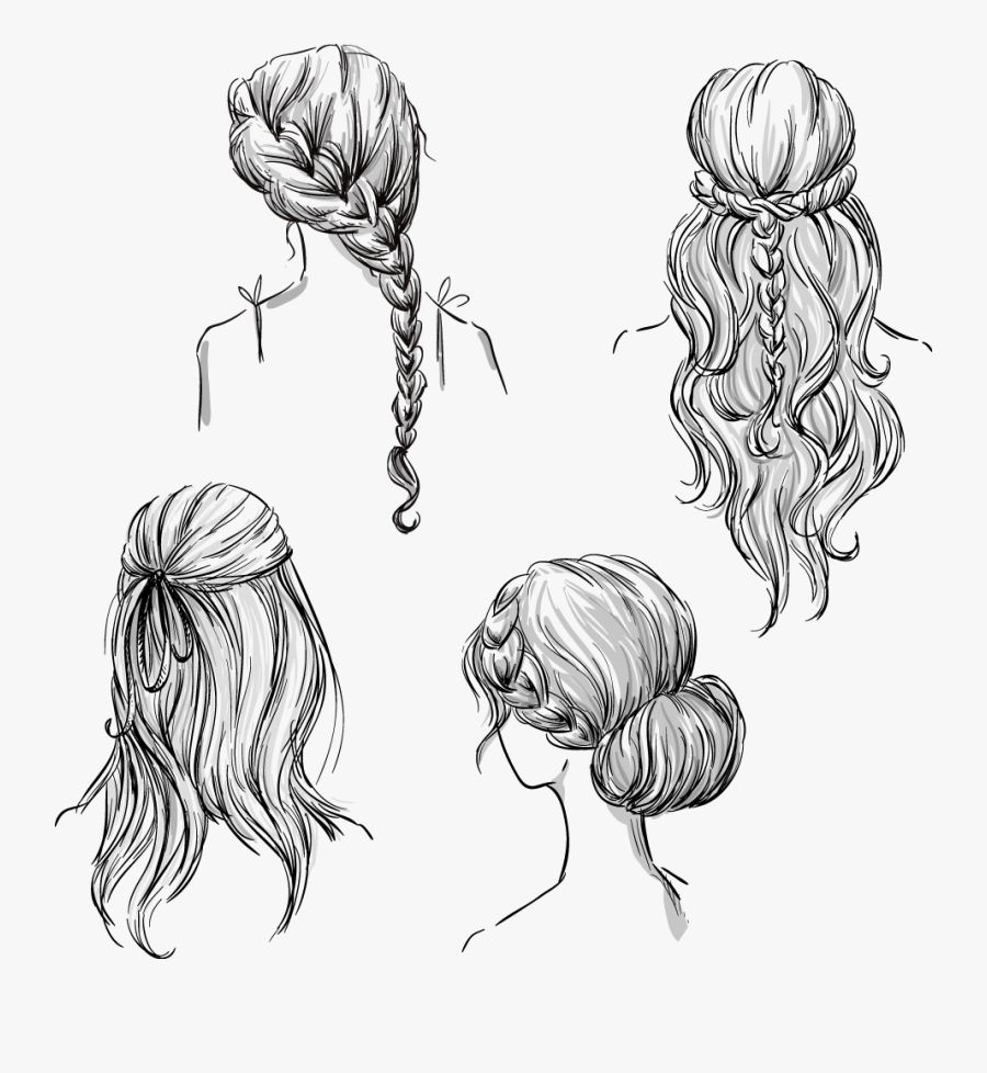 Clip Art Drawing Braided Hair - Hair From The Back Drawing, Transparent Clipart