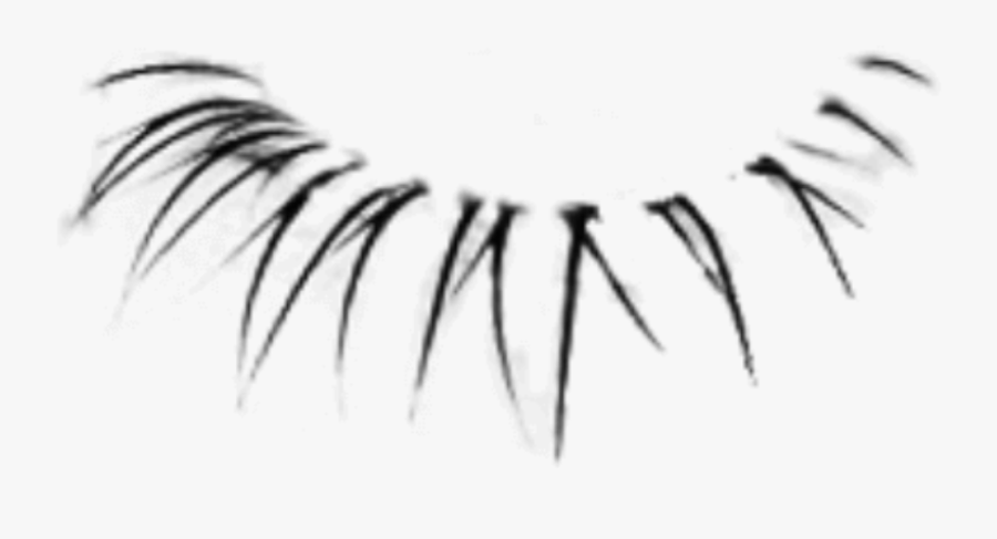 Sticker By Candace Kee - Transparent Eyelashes Png, Transparent Clipart