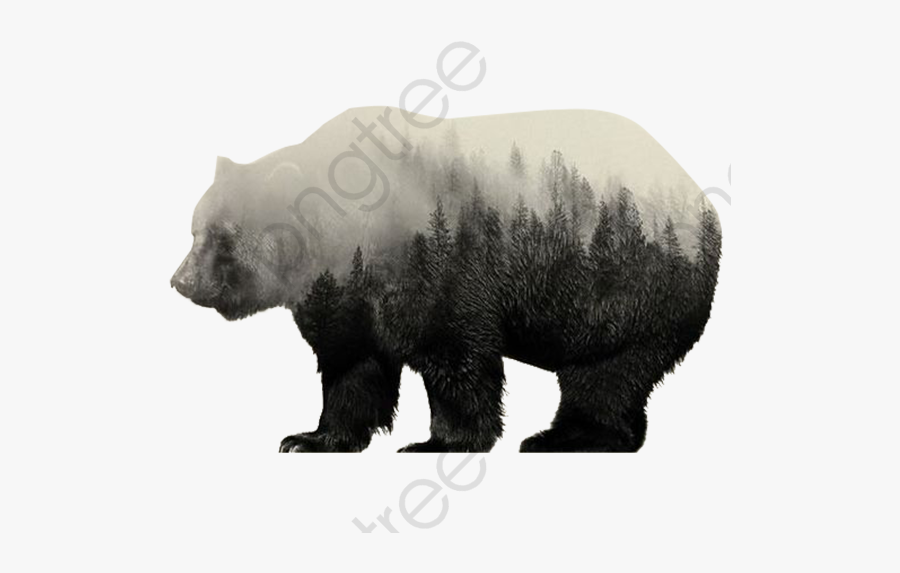 Snowy Snow Polar Png - Forest Manipulation In Bear, Transparent Clipart