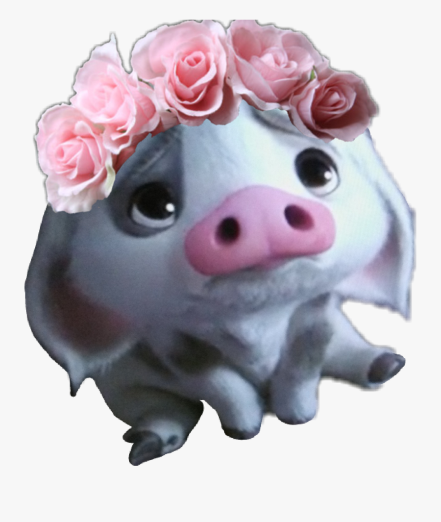 Pua Moana Png, Transparent Clipart