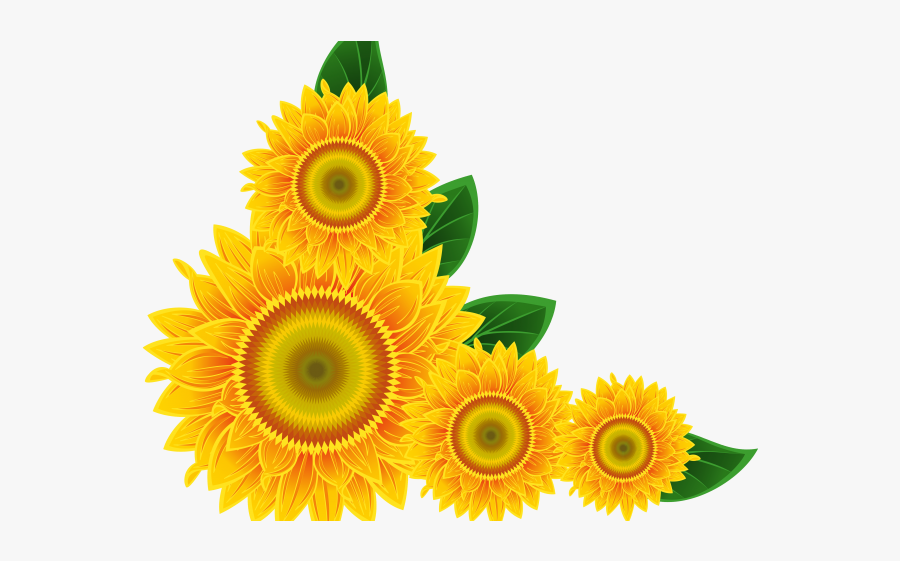 Sunflower Corner Border Png , Free Transparent Clipart - ClipartKey