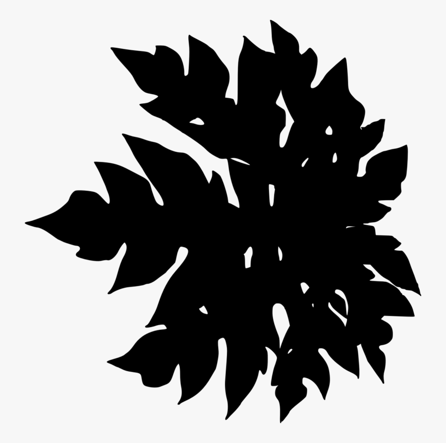 Leaf-silhouette - Illustration, Transparent Clipart