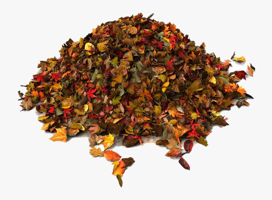 Pile Of Autumn Leaves Png File - Pile Of Leaves Png, Transparent Clipart