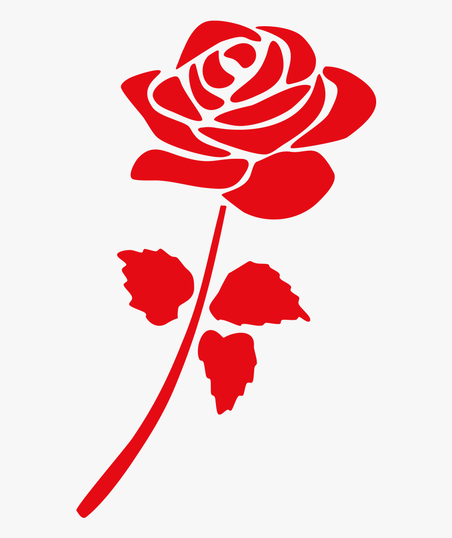 Rose, Transparent Clipart