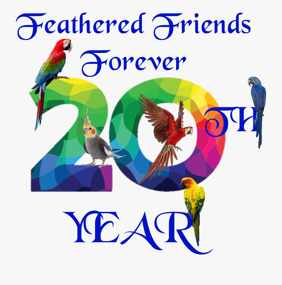 About Us Feathered Friends - Parakeet, Transparent Clipart
