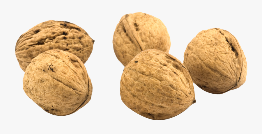 Walnut Png - 2 Walnuts Png, Transparent Clipart