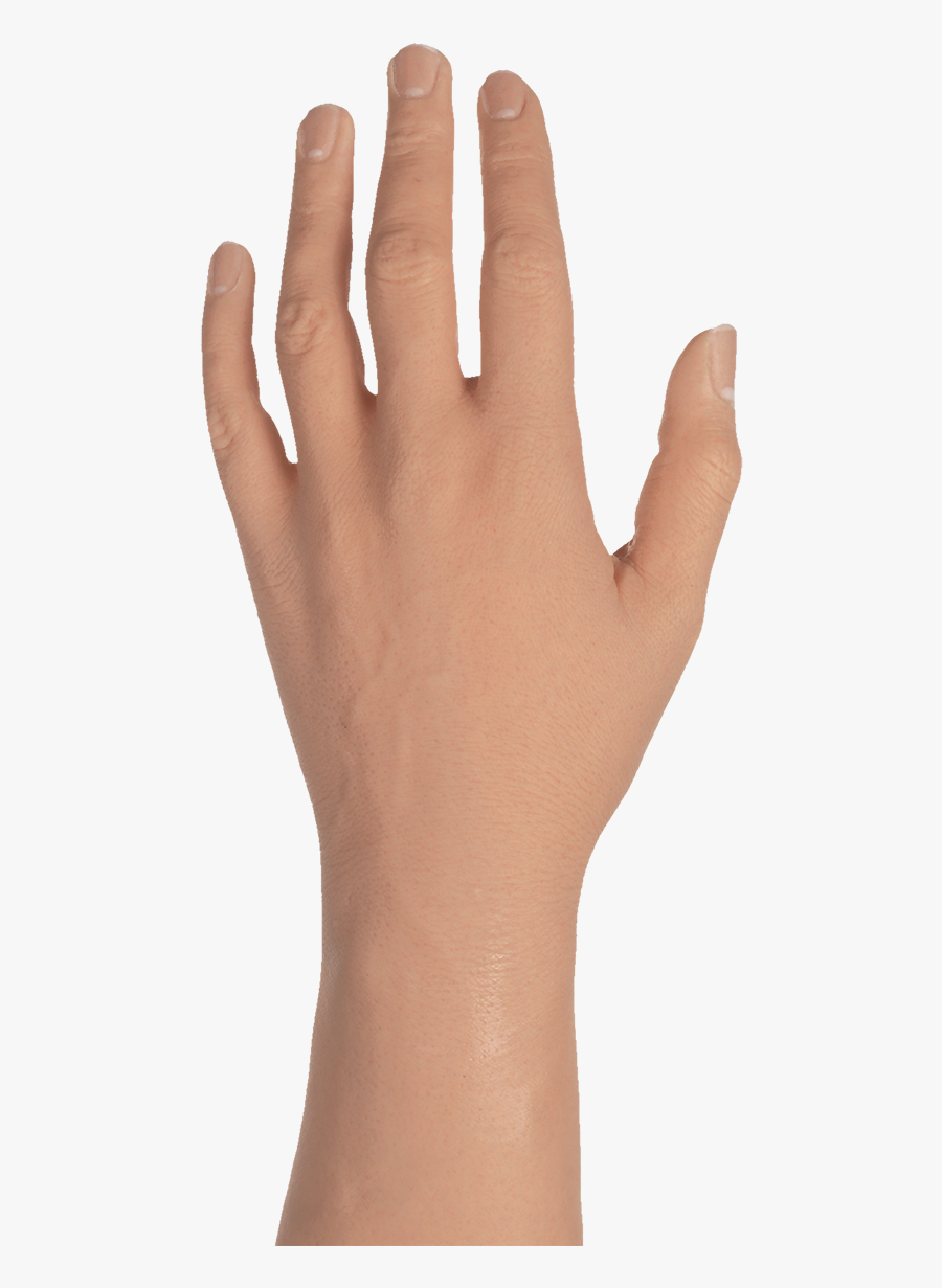 Female Hand Png - Transparent Male Hand Png, Transparent Clipart