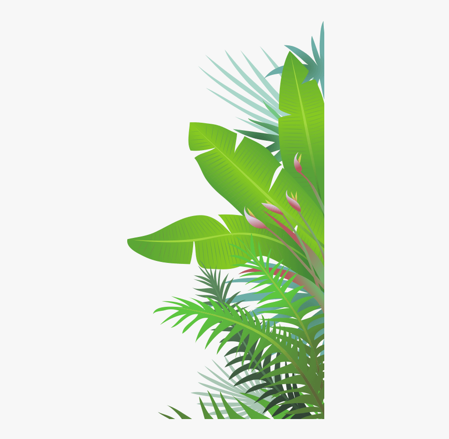 Jungle Leaves - Transparent Jungle Leaves Clipart, Transparent Clipart