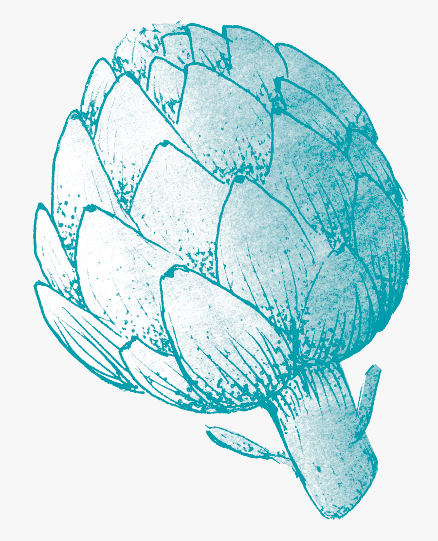 Artichaud-blue - Illustration, Transparent Clipart