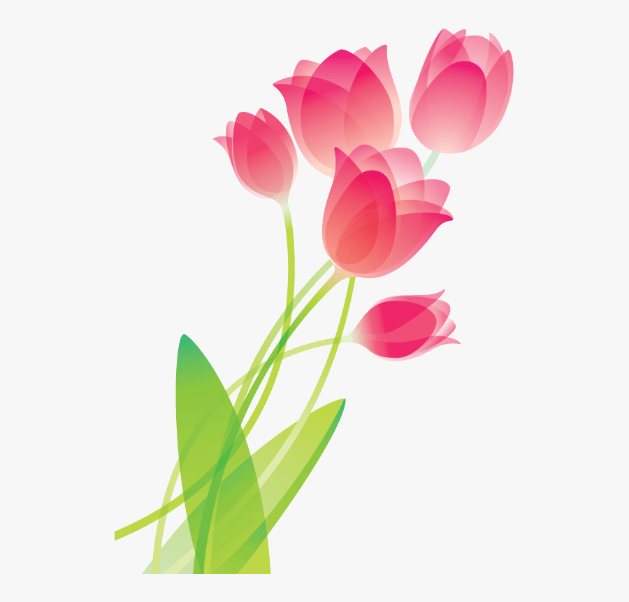 Drawing Coffee Tulip - Drawing Of Flowers Tulip, Transparent Clipart