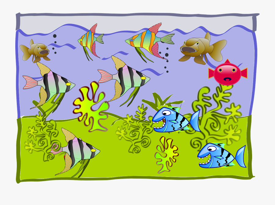 Fish Aquarium For Drawing, Transparent Clipart