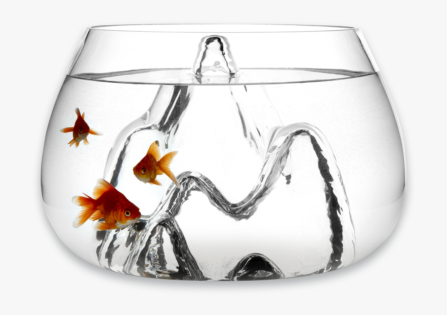 Transparent Small Fish Png - Fishscape Fish Bowl, Transparent Clipart