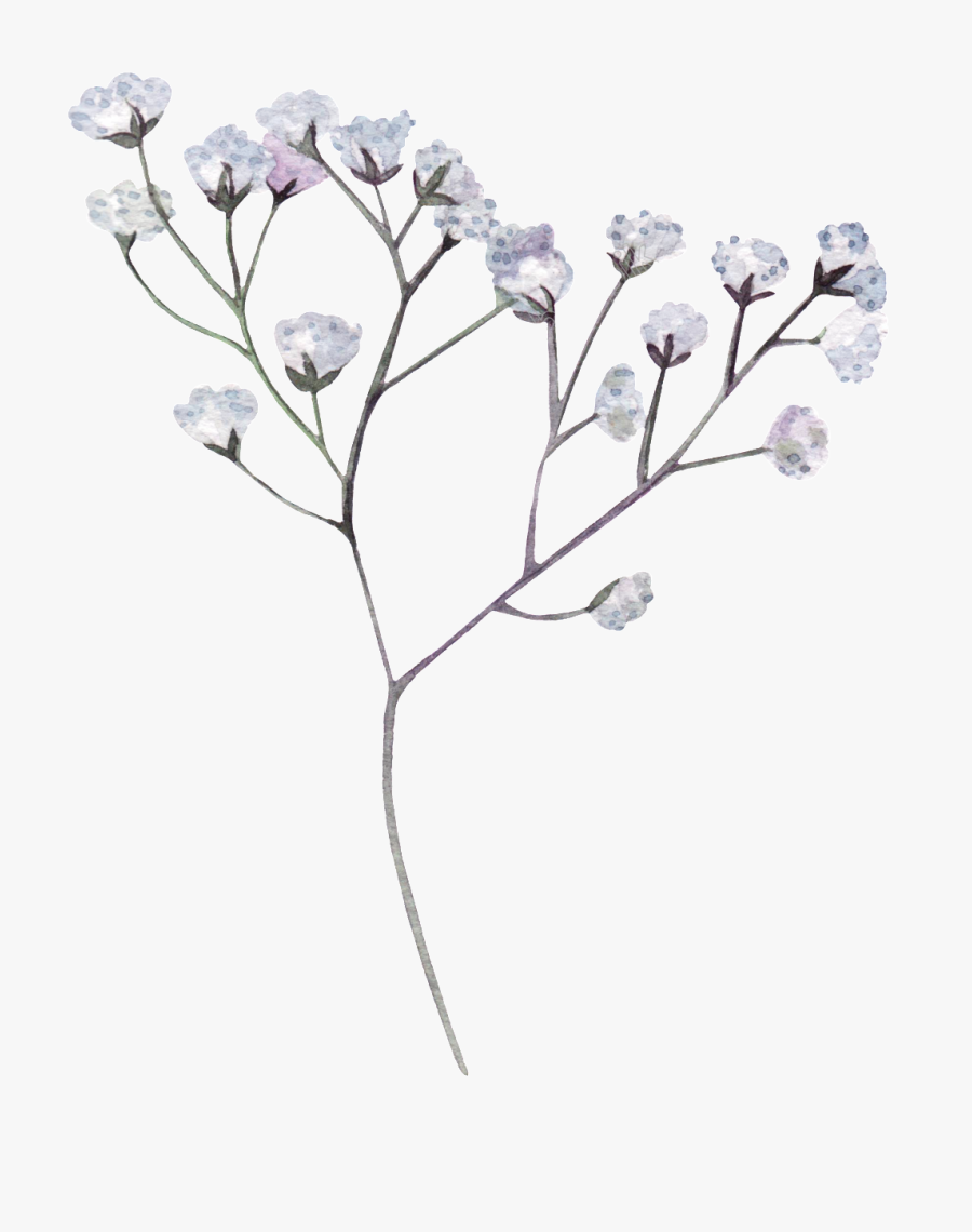 Clip Art Drawing Ubisafe Alstroemeria Background - Flower Transparent Black And White, Transparent Clipart