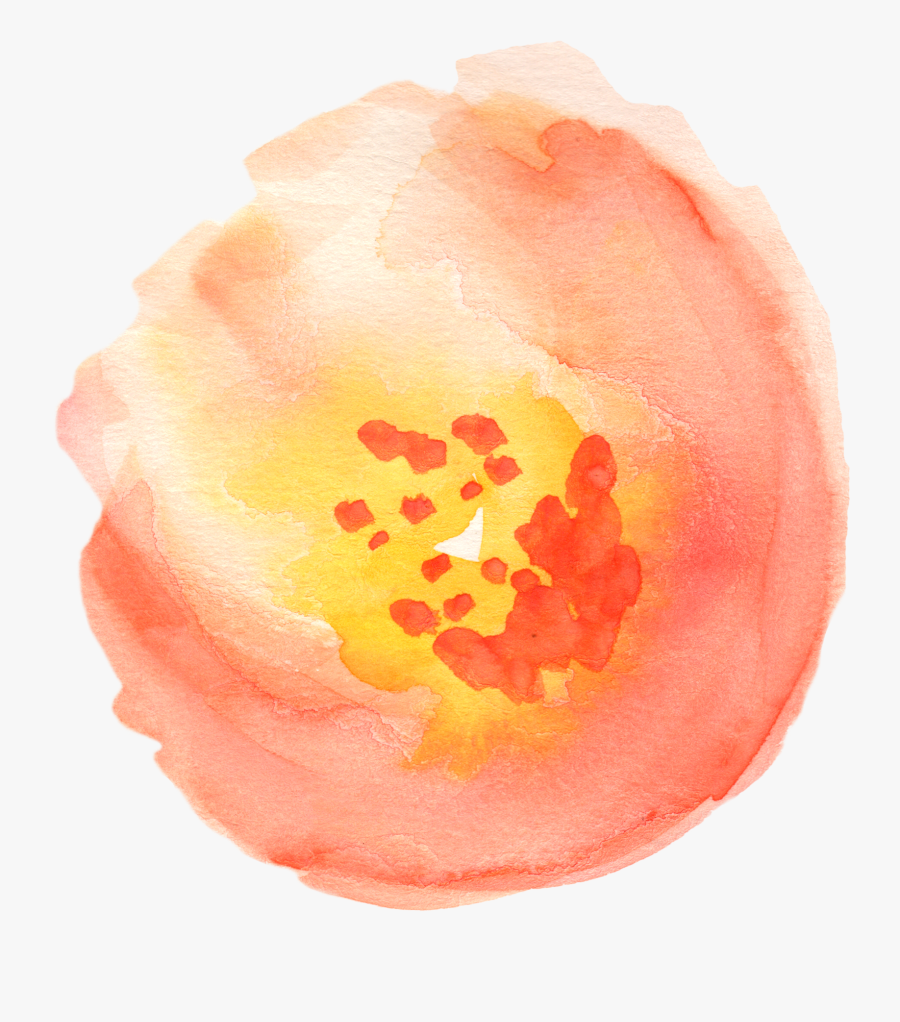 Water Color Peach Floral Clip Arts, Transparent Clipart