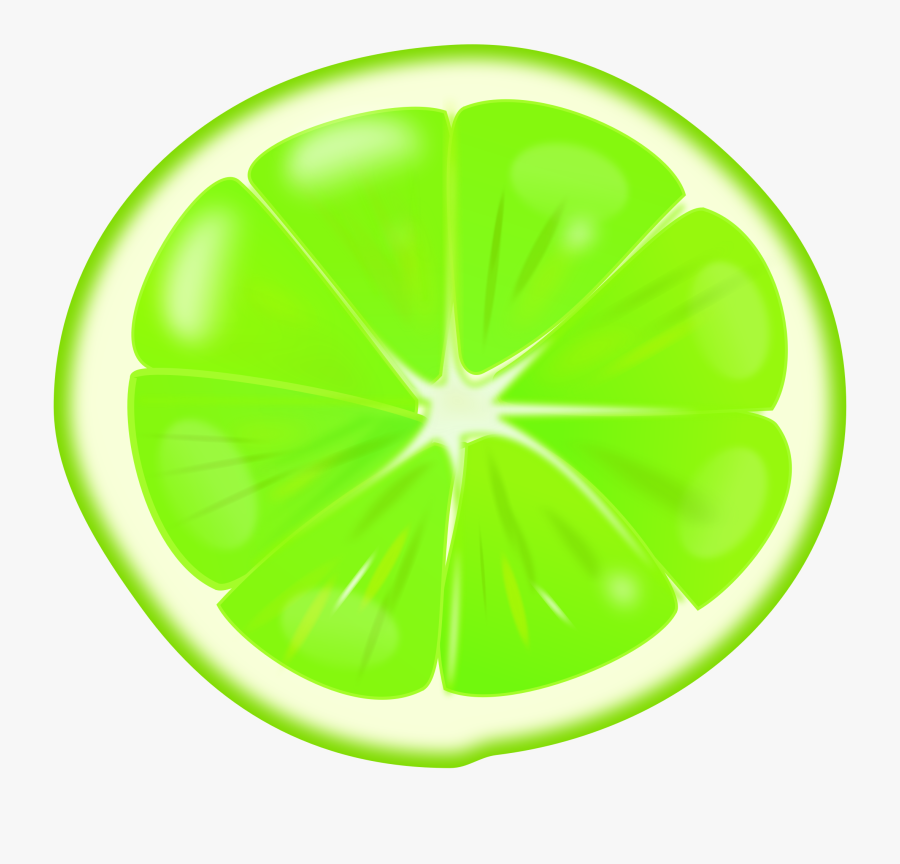 Plant,leaf,citrus - Orange Slice Clipart, Transparent Clipart