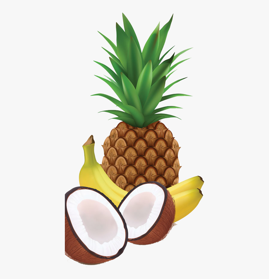 Juice Milkshake Coconut - Tropical Fruit Vector Png, Transparent Clipart