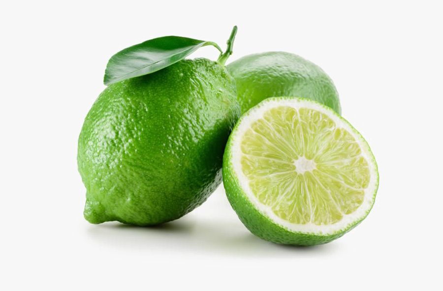 Clip Art Sliced Lime - Lime Fruit, Transparent Clipart