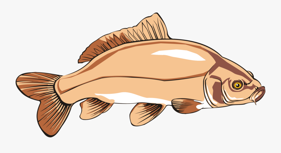 Clip Art Catfish Clipart Free - Orange Fishing Clipart, Transparent Clipart