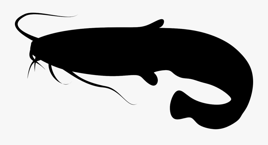 Catfish Silhouette, Transparent Clipart