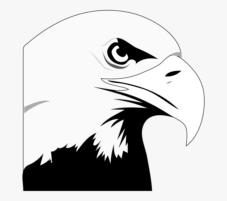 Eagle Bird Animal Head Strength Transparent Png Images - Bald Eagle Clipart, Transparent Clipart