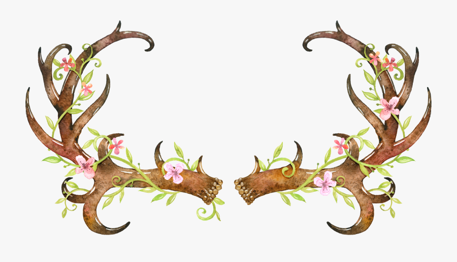 Antlers Transparent Clipart Free Download Ya Webdesign - Transparent Deer Antler Clip Art, Transparent Clipart
