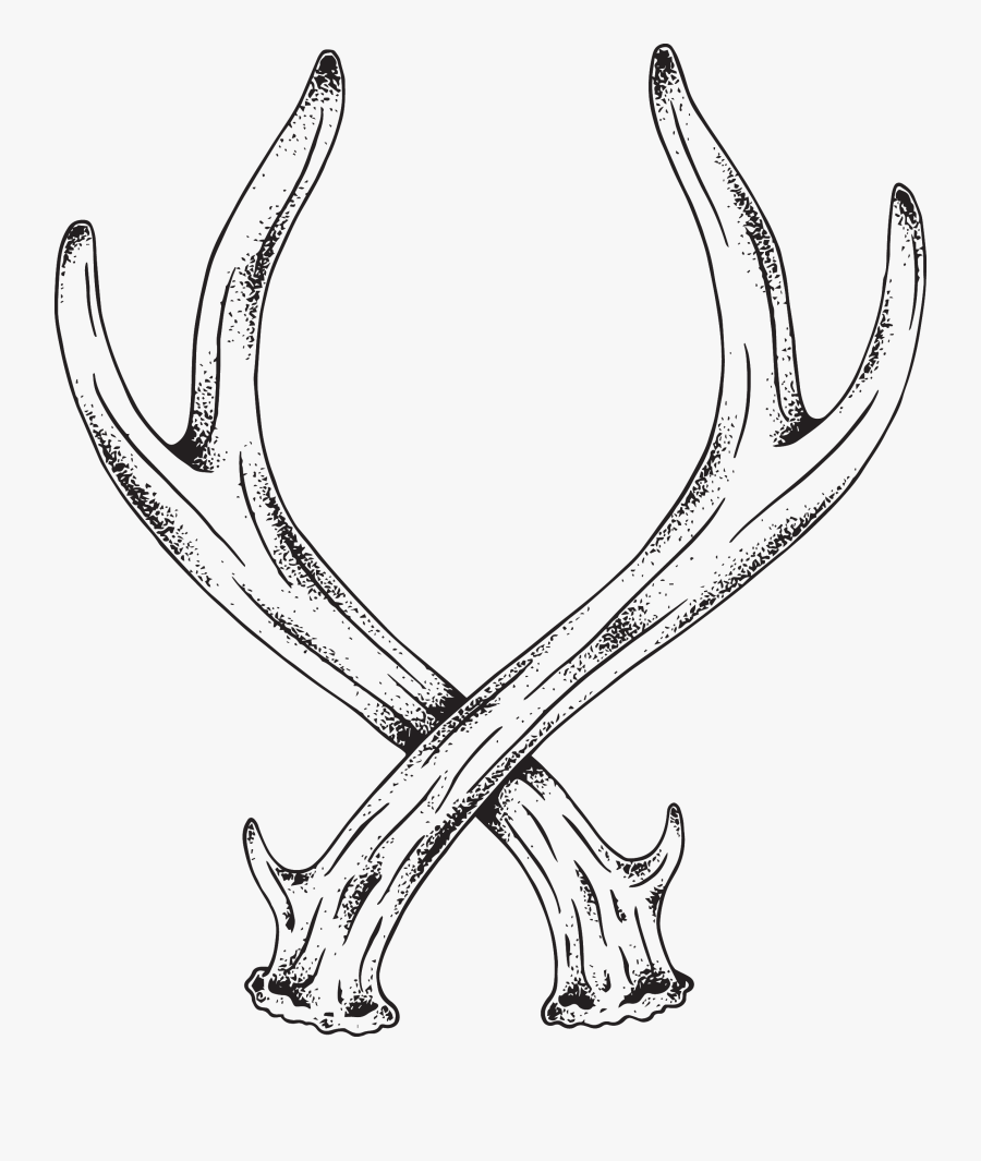 Transparent Antlers Clipart - Deer Antler Line Art, Transparent Clipart