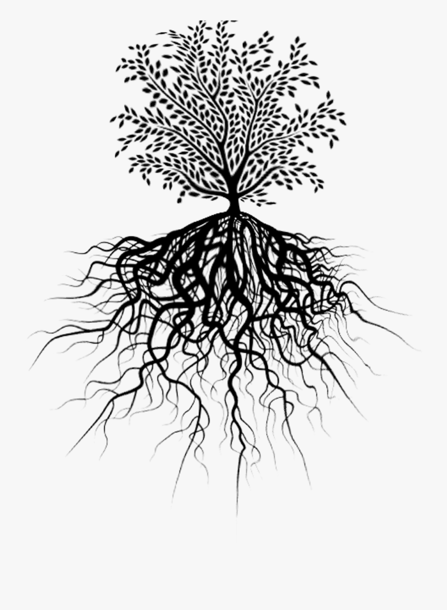 Transparent Tree Of Life With Roots Clipart - Tree Of Life Picsart, Transparent Clipart
