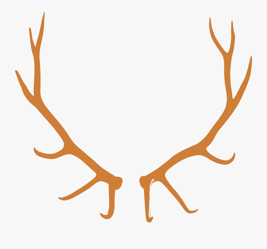 Elk Skull European Mount, Transparent Clipart